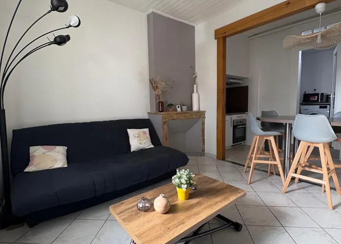 Maison Du Centre - 4 - 9 Personnes Appartement Montauban