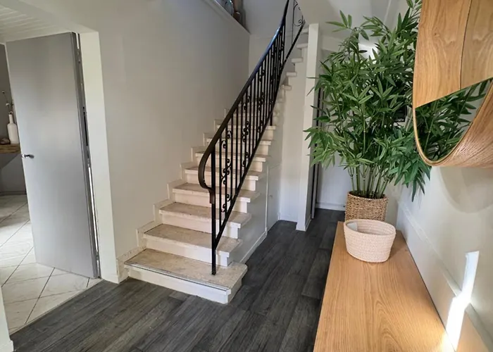 Maison Du Centre - 4 - 9 Personnes Montauban